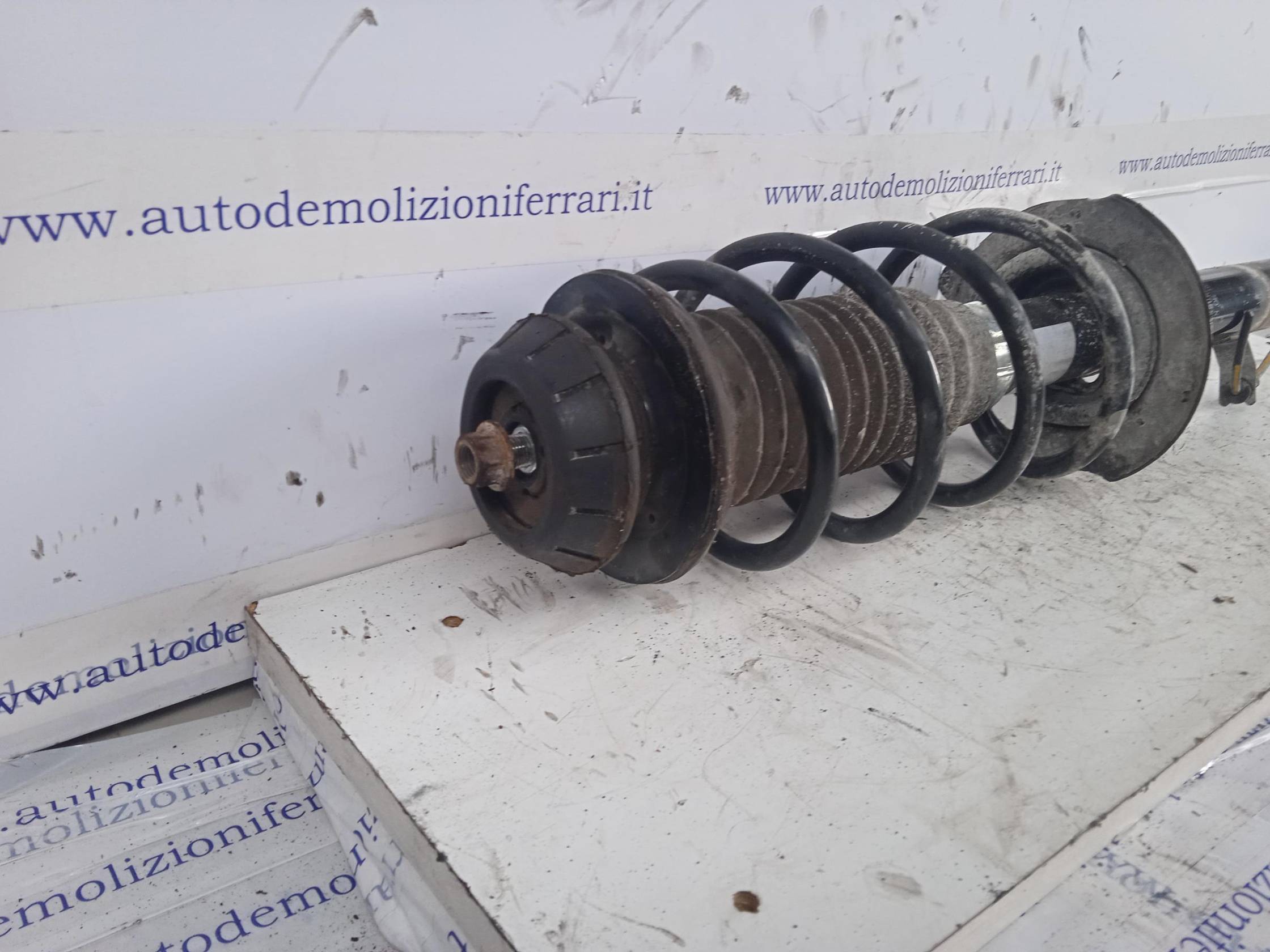 Ammortizzatore ant. sx.